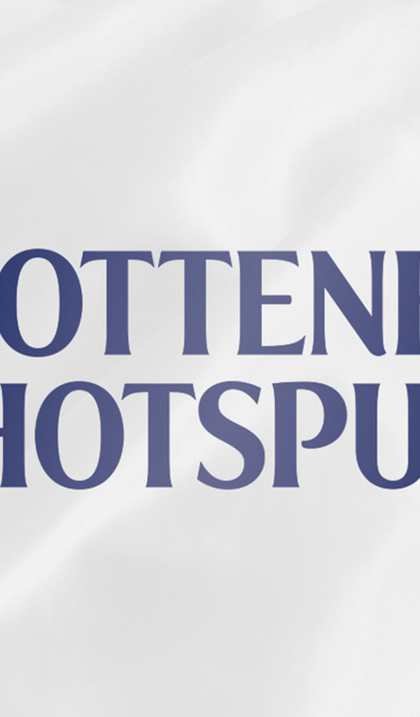 Футбольный клуб Англии Тоттенхэм