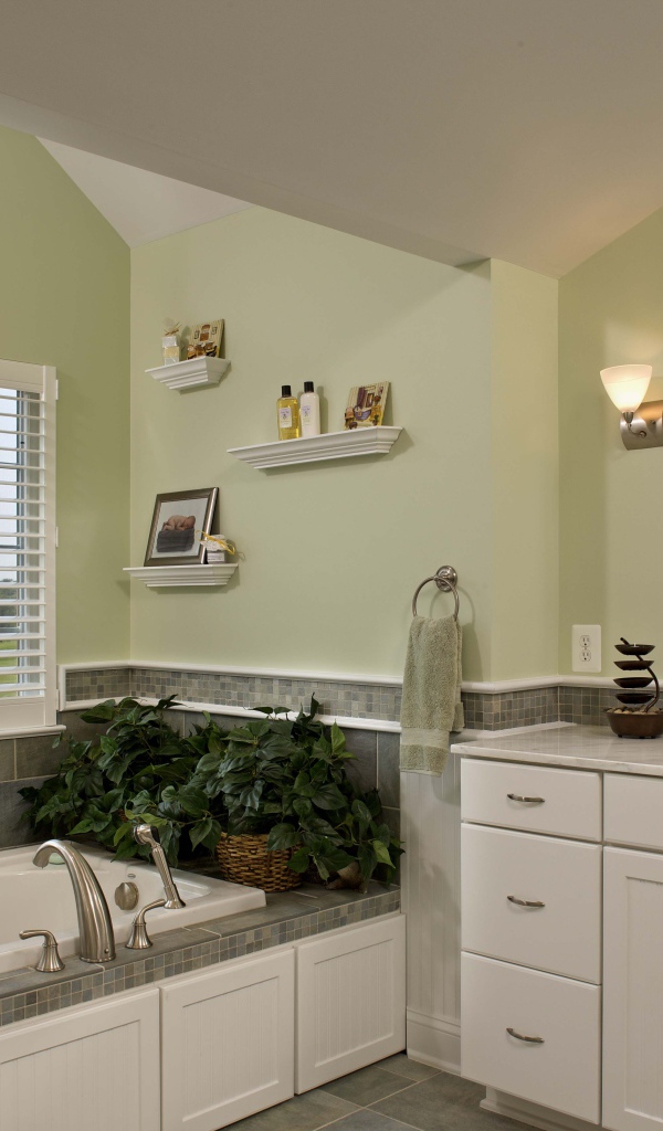 Зеленые растения в ванной комнате