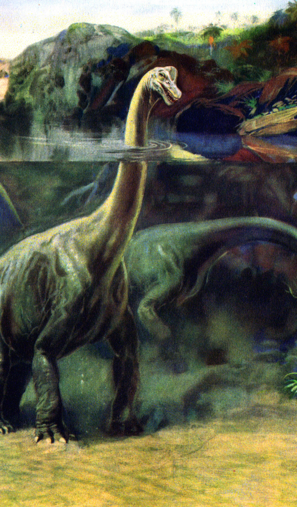 Травоядные динозавры в воде