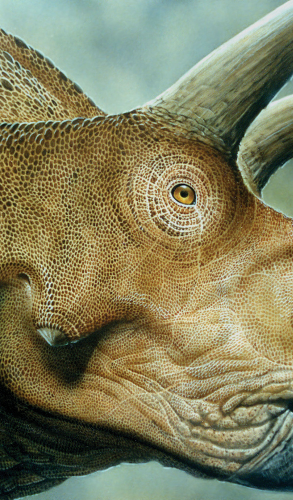 Рогатый динозавр