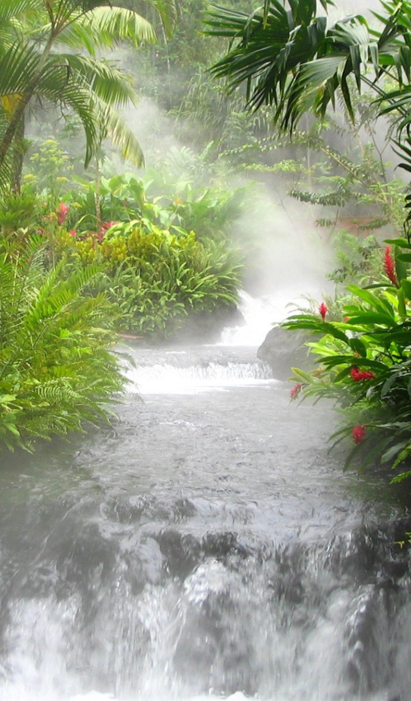 Река горячей воды в Коста-Рика