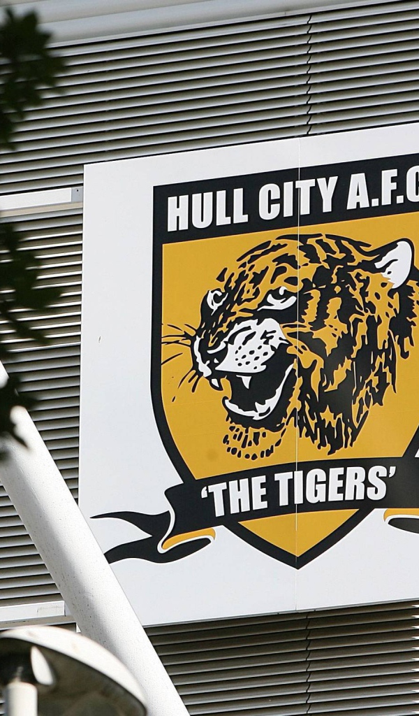 Халл Сити тигры