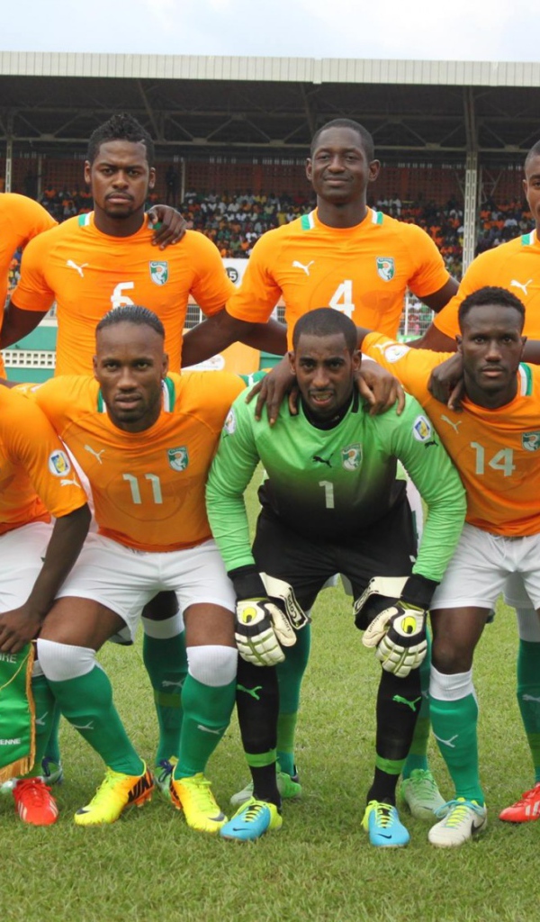 Сборная Кот д'Ивуара на Чемпионате мира по футболу в Бразилии 2014