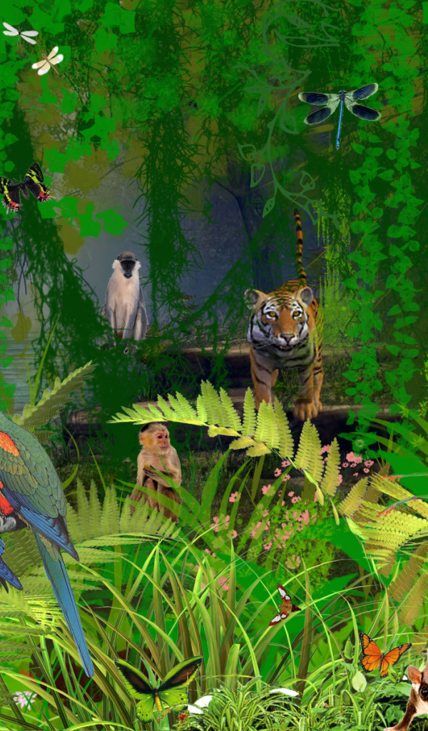 Джунгли животных в Коста-Рике