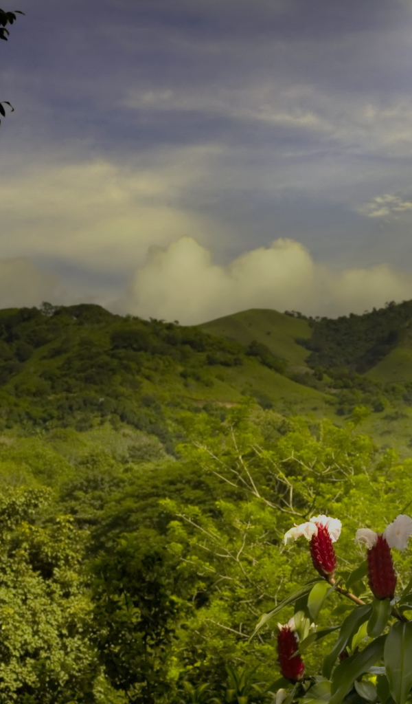 Пейзаж на Коста-Рика
