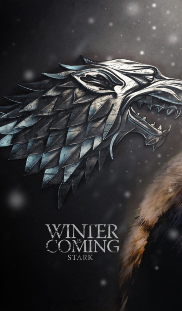 Лорд Старк в сериале Игры престолов