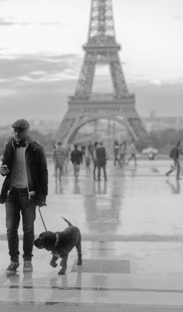 Человек с собакой возле Эйфелевой башни, чёрно-белое фото
