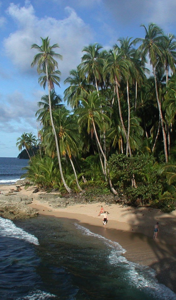 Пляж Мансанильо Коста-Рика