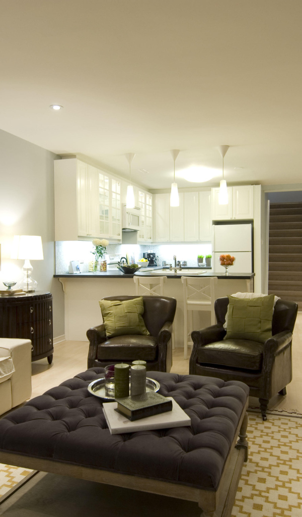 Современная гостиная с кухней