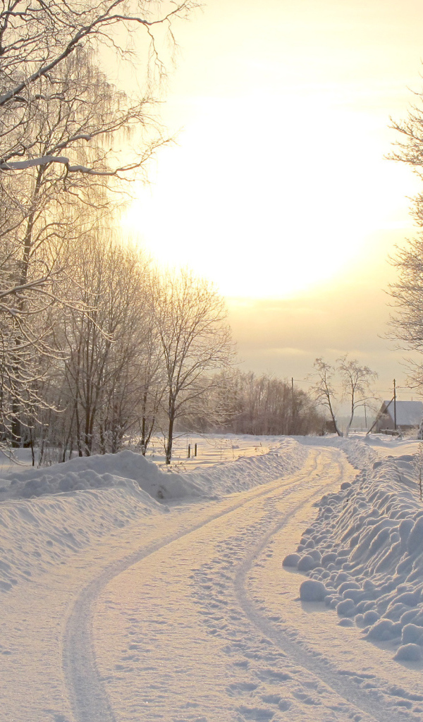 Утро за городом в Киеве