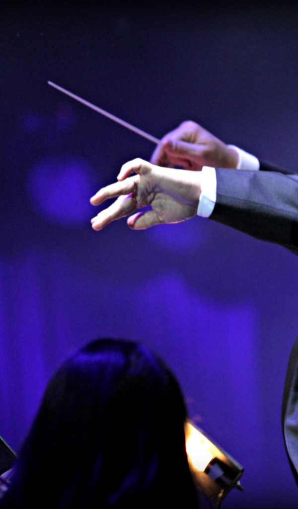 Композитор музыки в игре Fantasia music