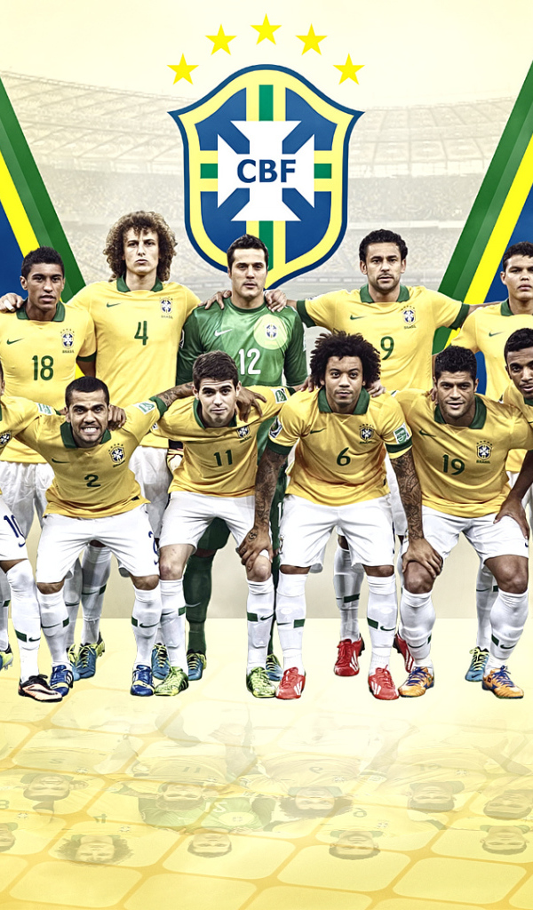 Национальная сборная Бразилии на Чемпионате мира по футболу в Бразилии 2014