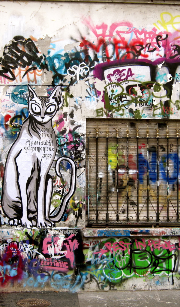 Нарисованный кот