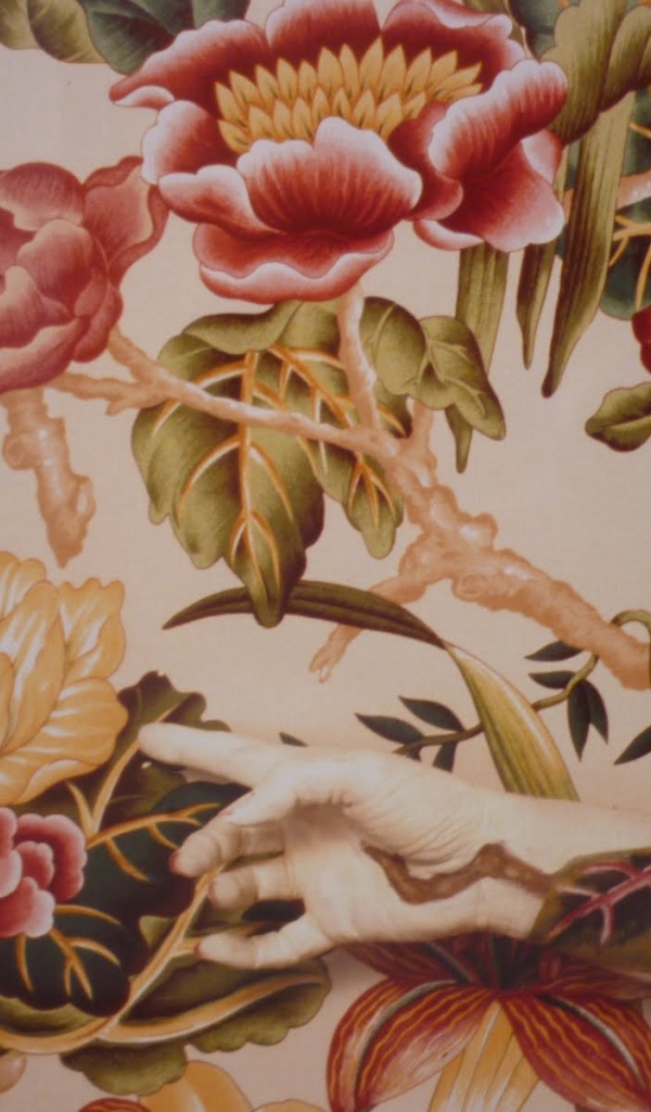 Фотография красивая картина