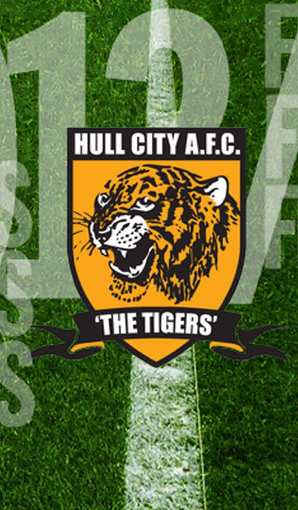 Популярный ФК Халл Сити