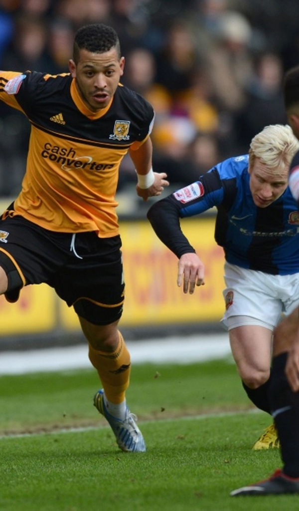 Популярный Футбольный клуб Халл Сити