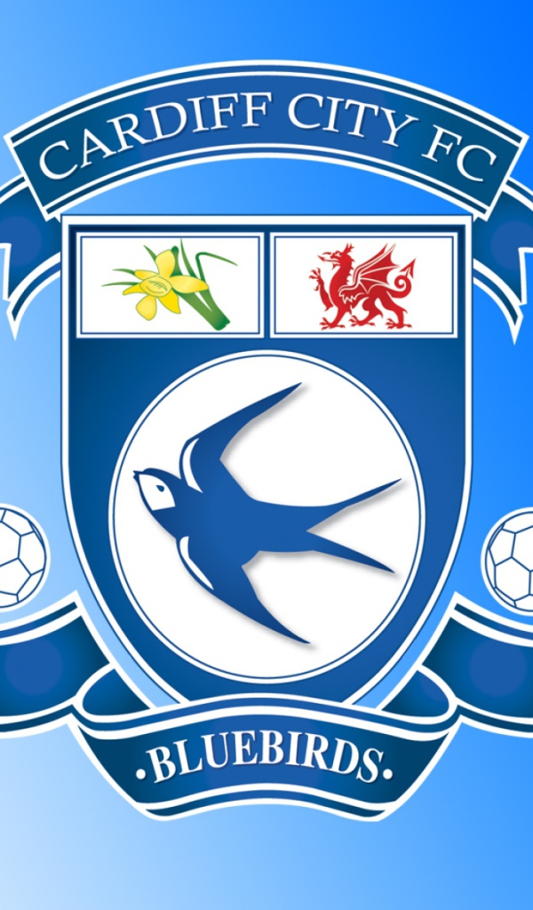 Популярный Футбольный клуб Кардифф Сити