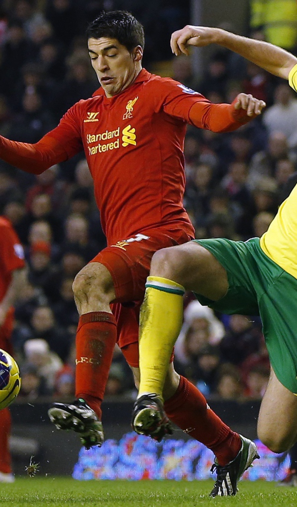 Популярный Футбольный клуб Англии Норвич