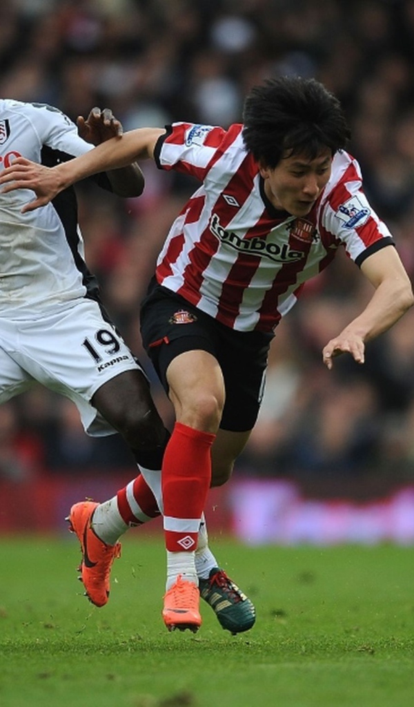 Популярный Футбольный клуб Фулхэм