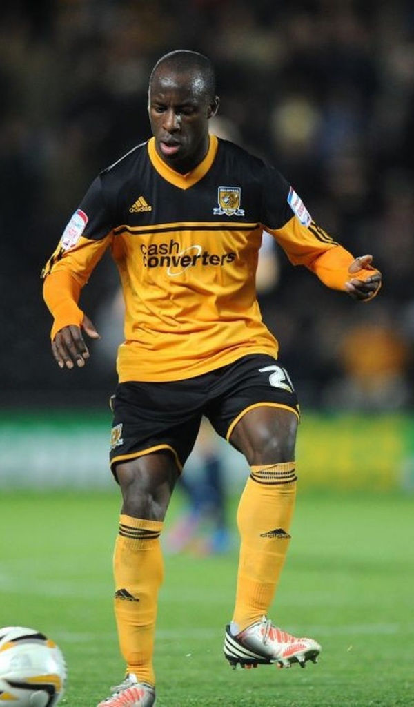 Популярный клуб Англии Халл Сити Тигры