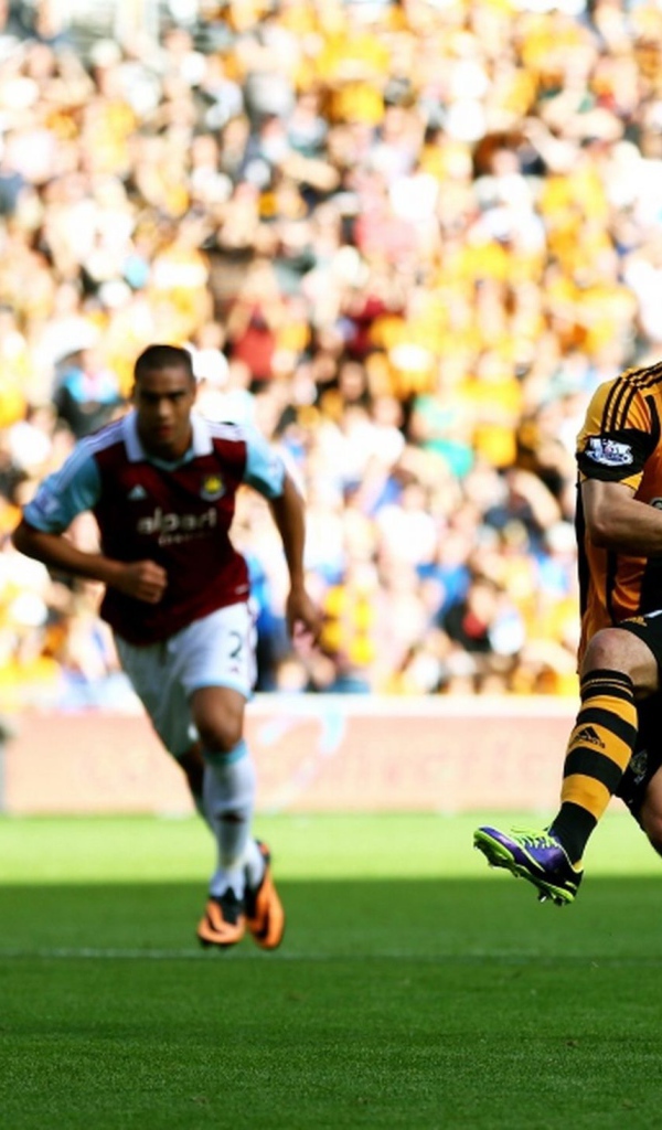 Популярный ФК Англии Халл Сити