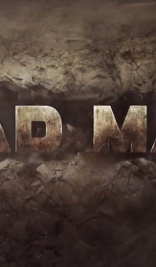 Постер игры Mad Max