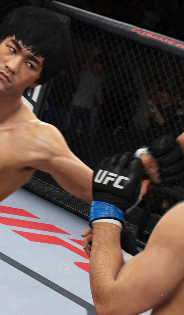 Схватка в игре EA SPORTS UFC