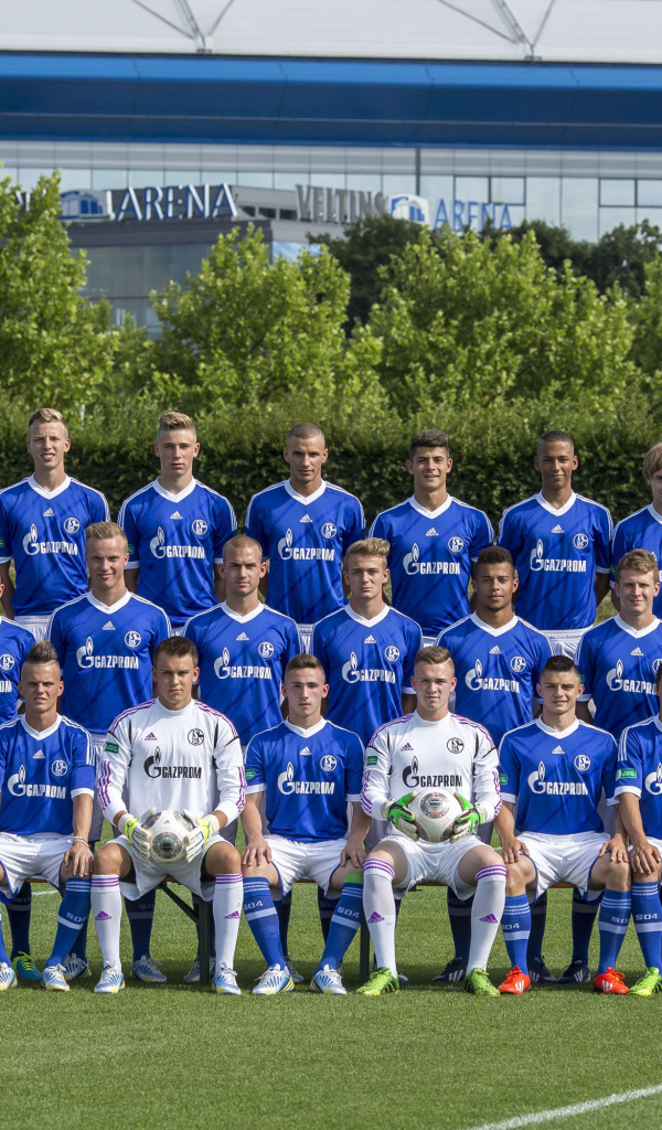 Шальке 04 2013