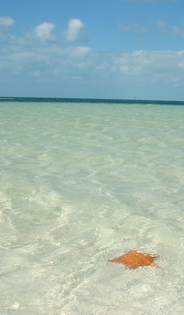 Мелководье на курорте Кайо Ларго, Куба