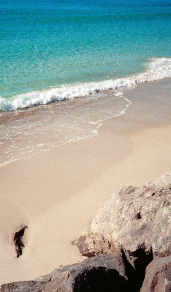 Берег Панамы