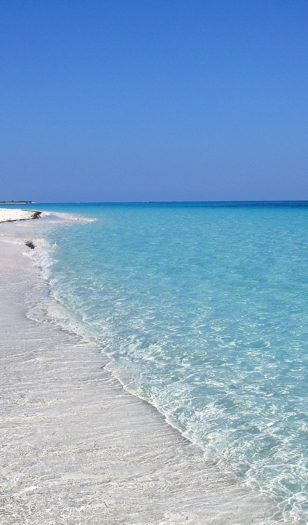 Весенний отдых на курорте Кайо Ларго, Куба