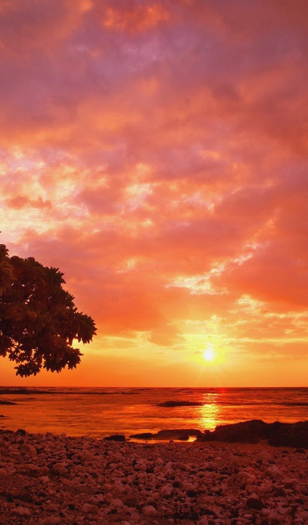 Закат на пляже Коста-Рика