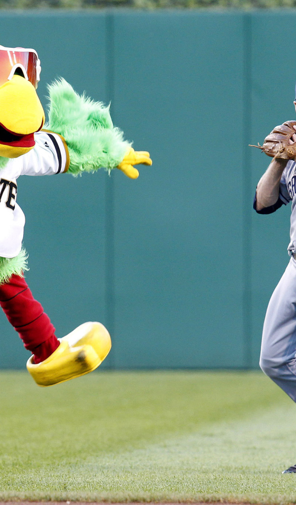 Символ бейсбольной команды с игроком