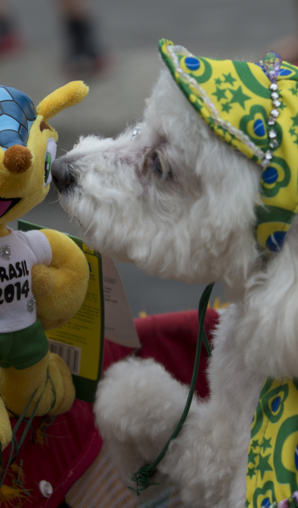 Талисман Чемпионата Мира по футболу в Бразилии 2014 приветствует с собакой