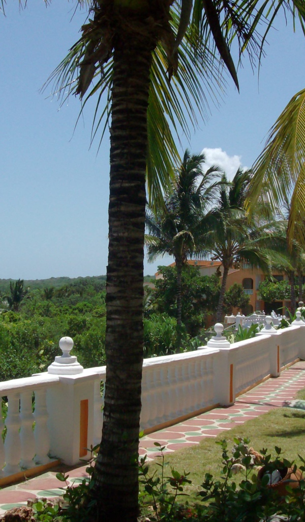 Терраса на курорте Гуардалавака, Куба