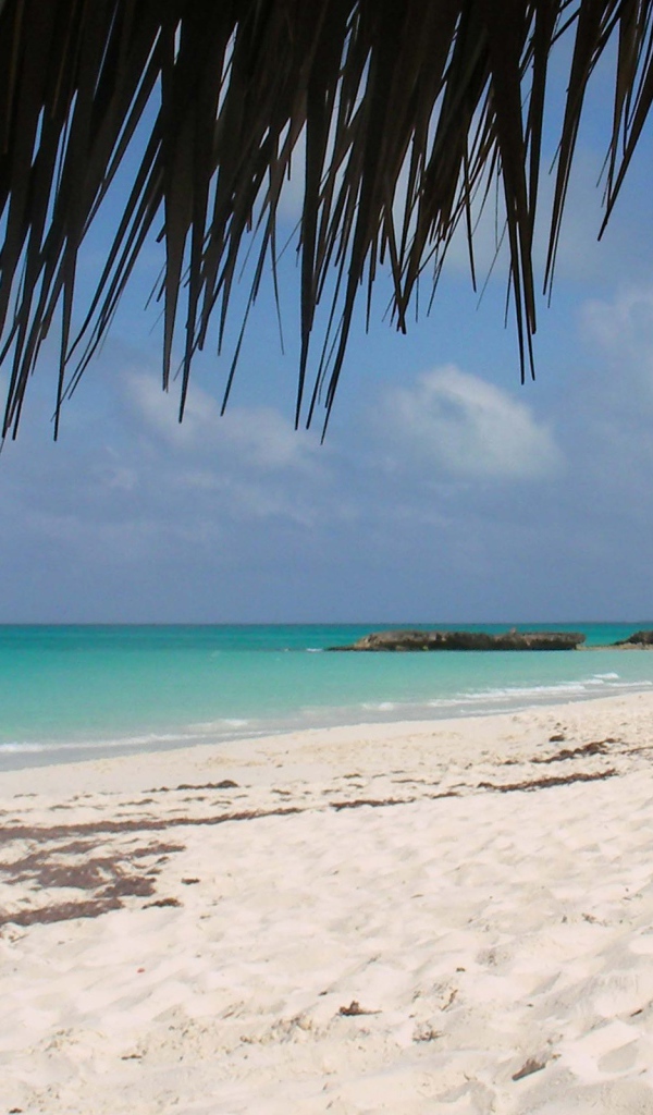 Пляж на курорте Кайо Санта Мария, Куба