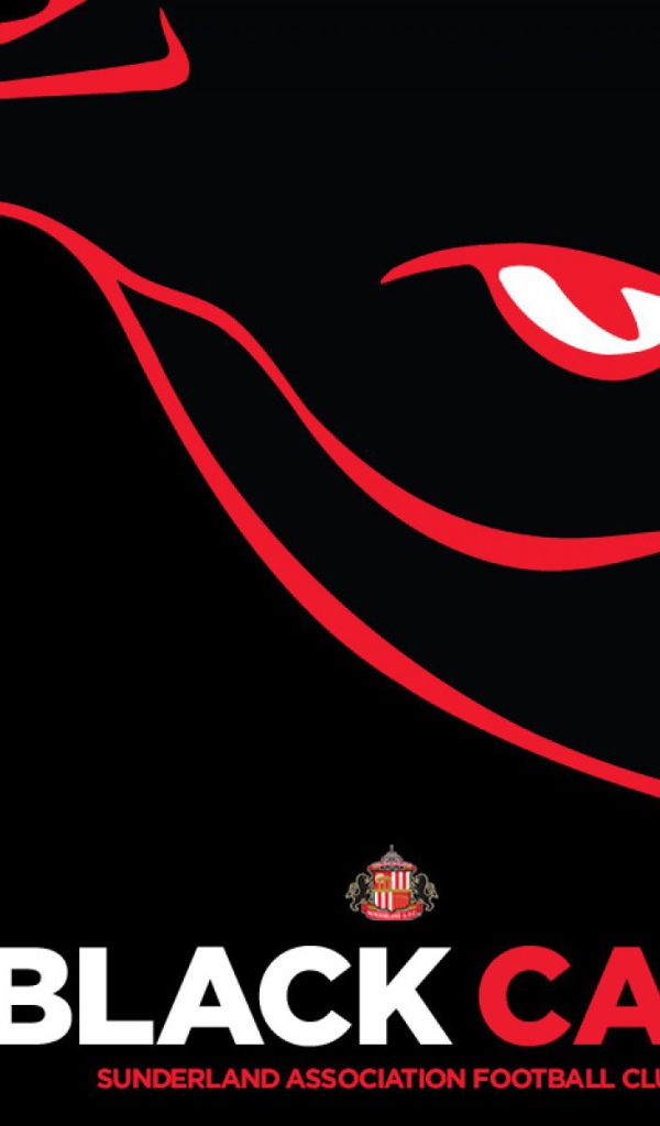 Любимая команда футбола Англии Сандерленд