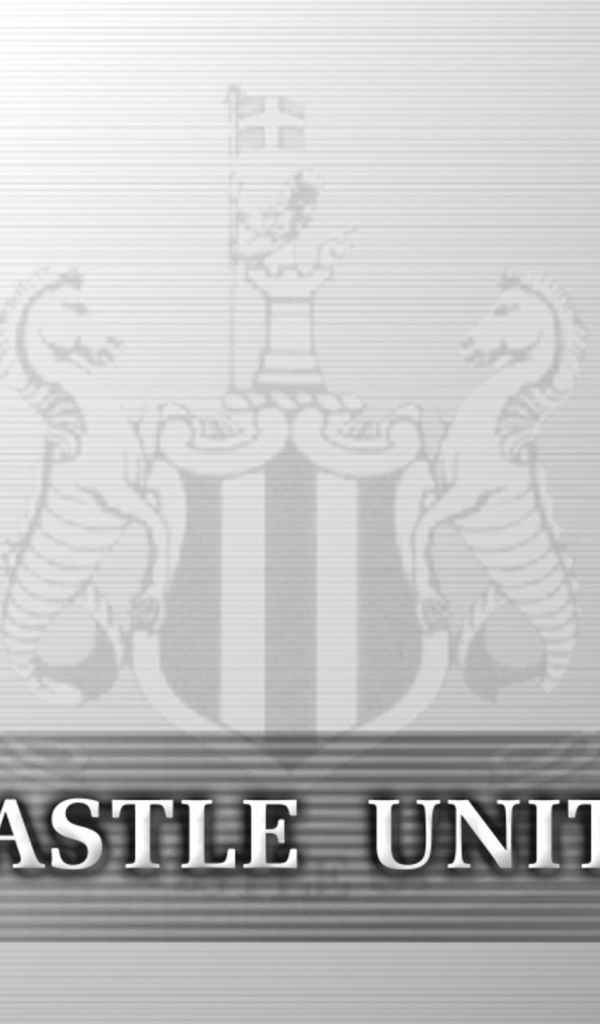 Знаменитый футбольный клуб Англии Ньюкасл Юнайтед