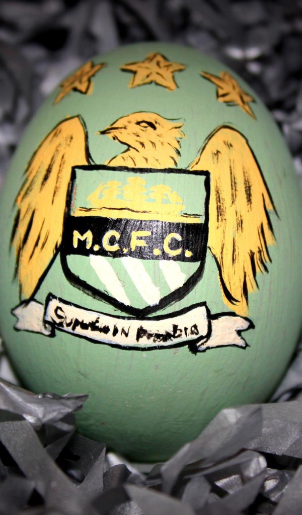 Известная футбольная команда Манчестер Сити