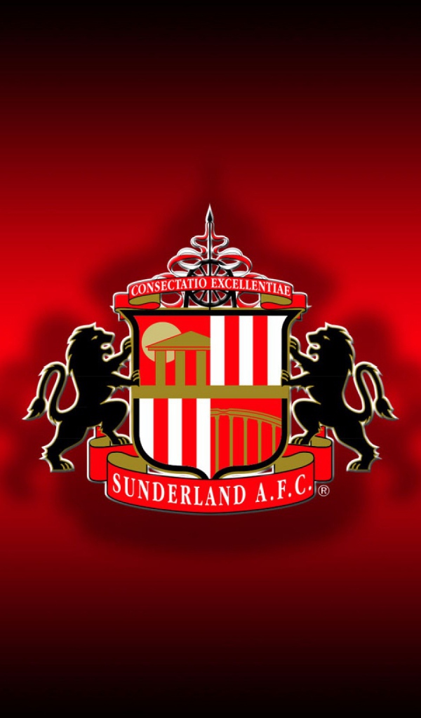 Знаменитая футбольная команда Англии Сандерленд