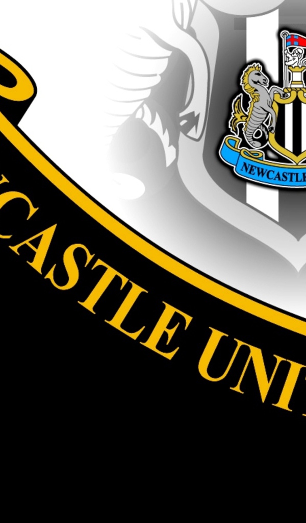 Футбольный клуб Англии Ньюкасл Юнайтед