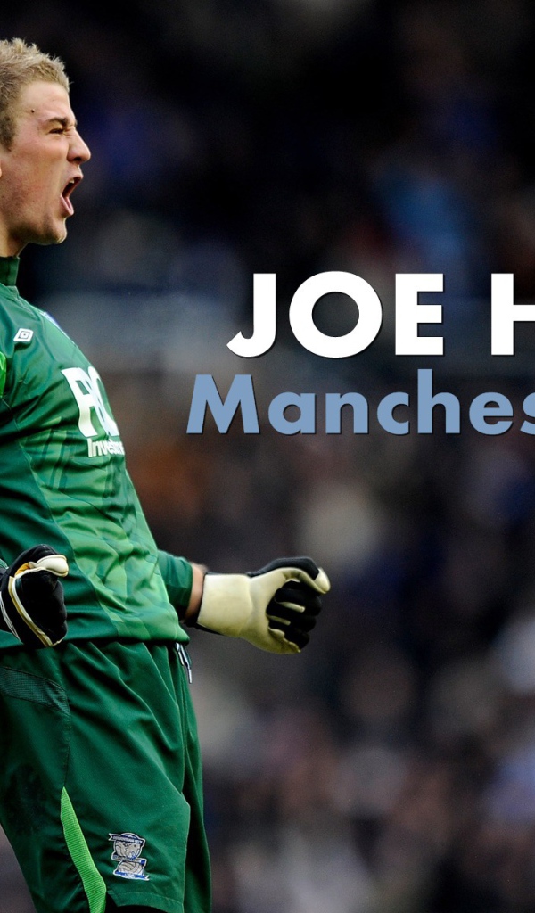 Футбольная команда Англии Манчестер Сити