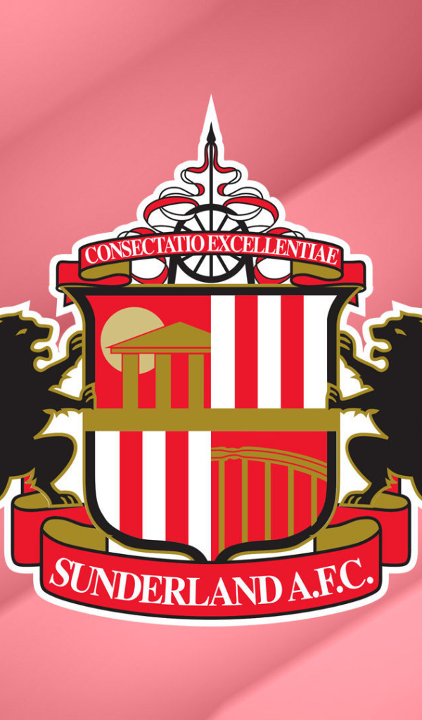 Футбольная команда Англии Сандерленд