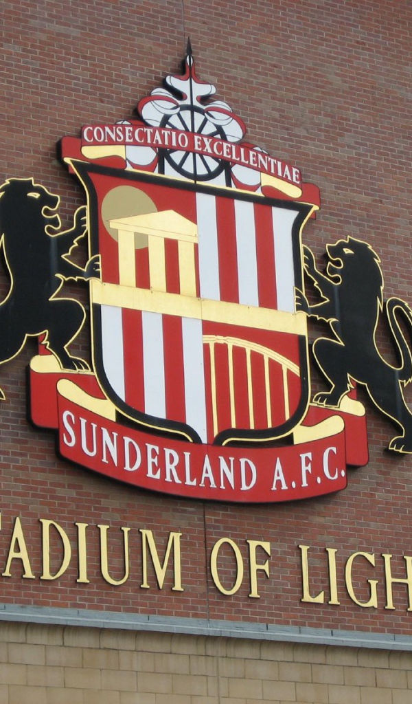 Популярная команда Сандерленд