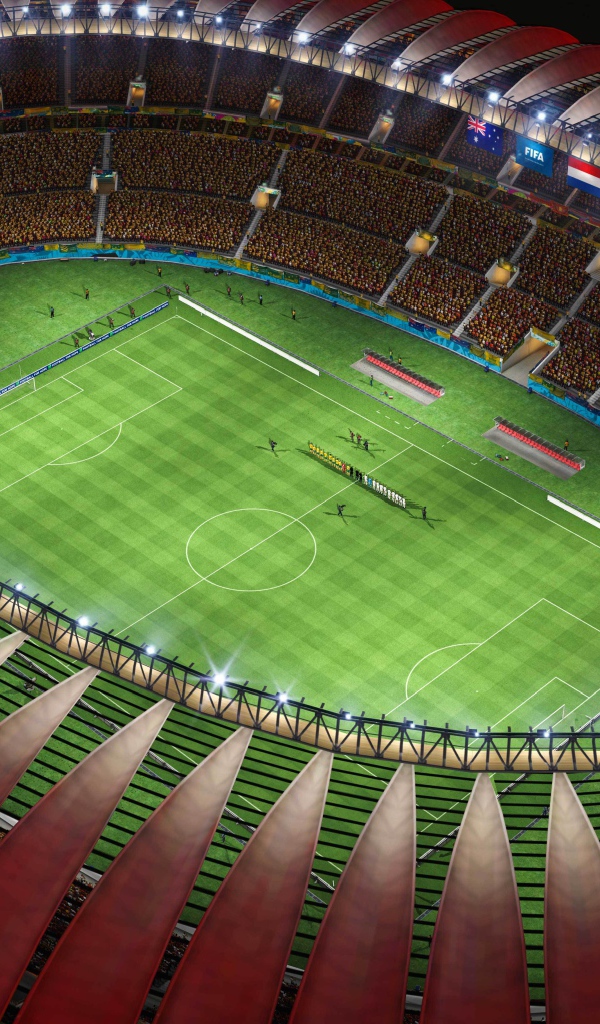 Крыша стадиона Чемпионата Мира по футболу в Бразилии 2014