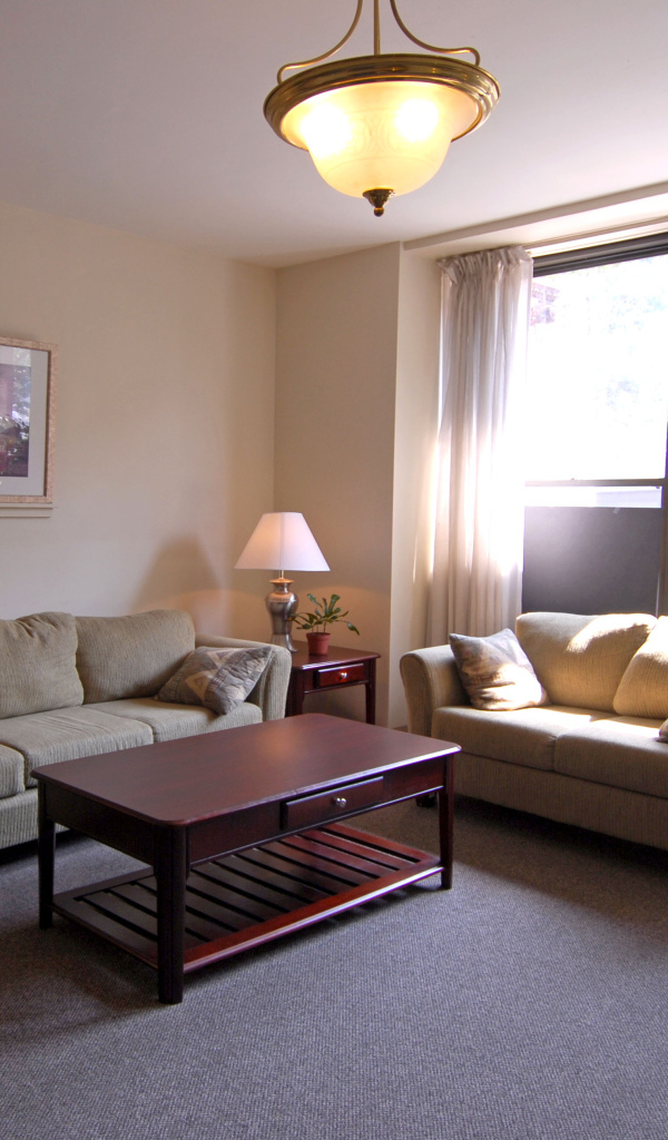 Солнце светит в окно гостиной