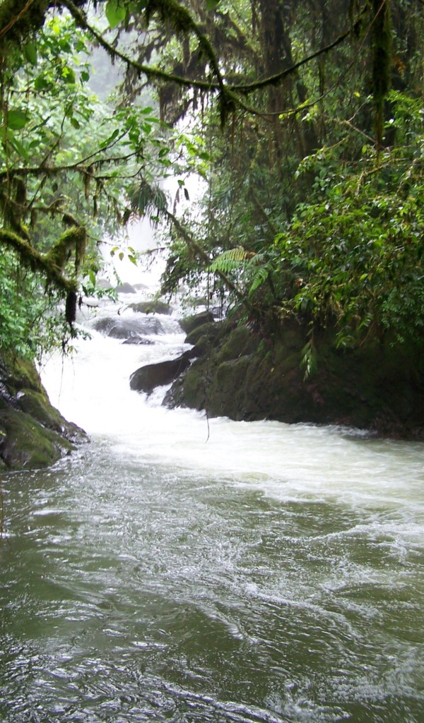 Водопад и река в Коста-Рика