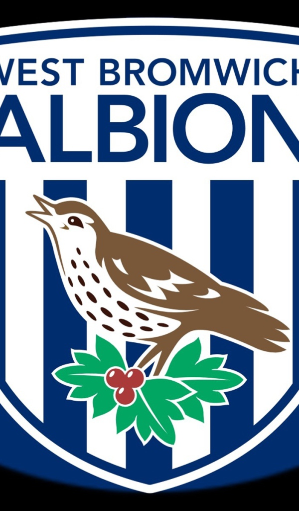 Вест Бромвич Альбион