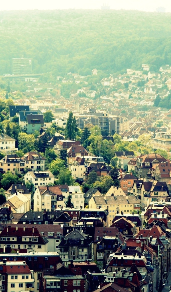 Широкие просторы Киева