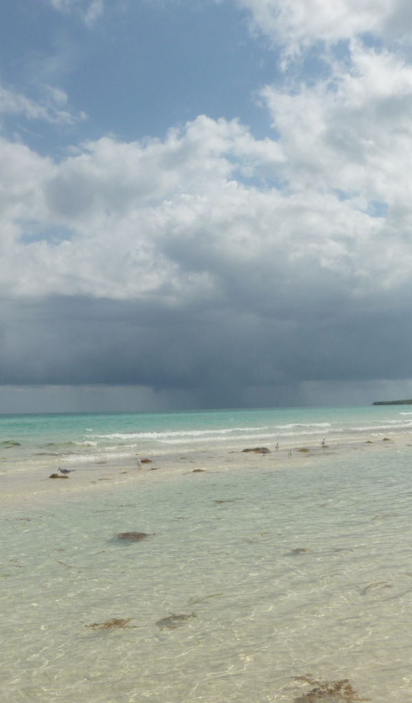 Зимний отдых на курорте Кайо Коко, Куба